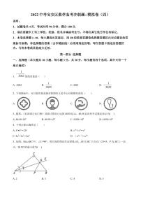 2022年广东省深圳市宝安区中考数学备考冲刺题模拟卷（四）（原卷及解析版）