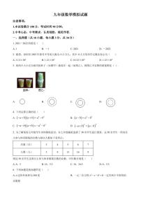 2022年广东省深圳市大鹏新区华侨中学九年级数学中考模拟预测试题（原卷及解析版）