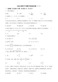 2022年广东省深圳市龙岗区金稻田学校中考数学试题（原卷及解析版）