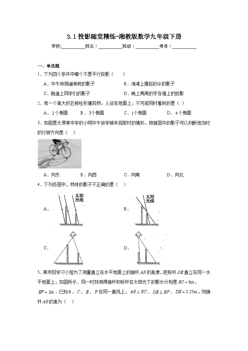 3.1投影随堂精练-湘教版数学九年级下册01