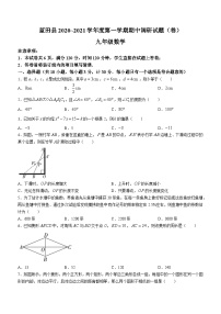 陕西省西安市蓝田县2020-2021学年九年级上学期期中数学试题