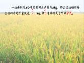 湘教版八上数学第1章分式1.1分式第1课时分式的概念课件
