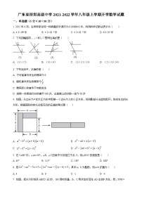 精品解析：广东省深圳高级中学2021-2022学年八年级上学期开学数学试题