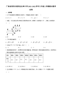 精品解析：广东省深圳市福田区红岭中学2021-2022学年八年级上学期期末数学试题