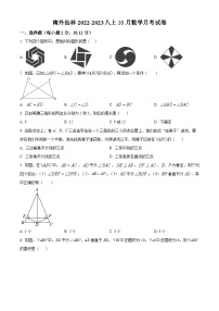 南京市南外分校2022-2023八年级上学期10月数学月考试卷及答案