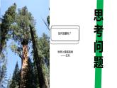 4.6利用相似三角形測高+課件　北師大版數(shù)學(xué)九年級上冊