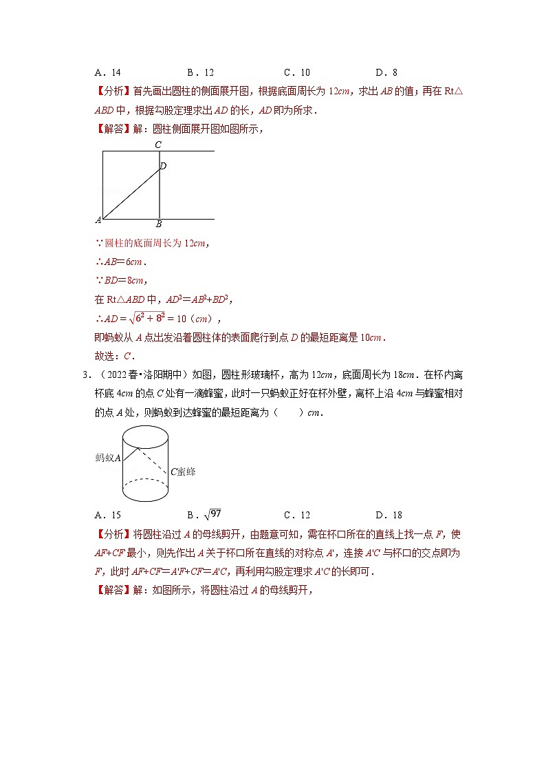 2024年八年级数学下册专题17.3 最短路径问题专项训练（30道）（举一反三）（人教版）（解析版）第2页