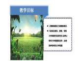 5.2.2復雜圖形的三視圖課件北師大版數(shù)學九年級上冊