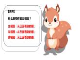 5.2.2復雜圖形的三視圖課件北師大版數(shù)學九年級上冊