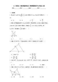 数学4.3 相似三角形课时训练