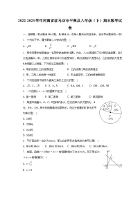 2022-2023学年河南省驻马店市平舆县八年级（下）期末数学试卷（含解析）