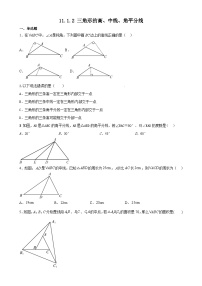 数学八年级上册11.1.2 三角形的高、中线与角平分线精练