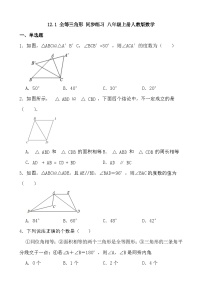 初中数学人教版八年级上册12.1 全等三角形综合训练题