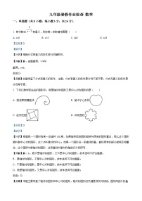 广东省深圳市宝安中学（集团）塘头学校2023-2024学年九年级上学期开学检测数学试题（解析版）