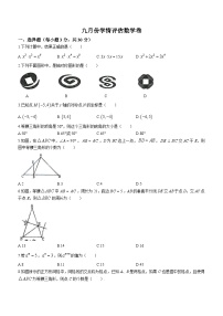 黑龙江省哈尔滨市松雷中学2023-2024学年八年级上学期月考数学试题(无答案)