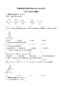 河南省信阳市平桥区平桥区新星学校2023-2024学年八年级上学期9月月考数学试题