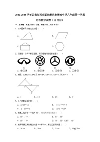 云南省西双版纳景洪市景哈中学2022-2023学年八年级上学期11月月考数学试卷