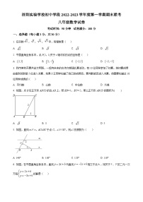 精品解析：广东省深圳实验学校初中学段2022-2023学年八年级上学期期末考试数学试卷