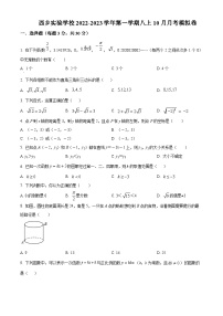 精品解析：广东省深圳市宝安区西乡实验学校2022-2023学年八年级上学期10月月考数学试题