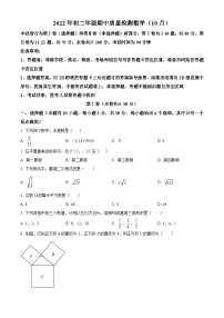 精品解析：广东省深圳市福田区2022-2023学年八年级上学期期中测试数学试卷