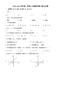 精品解析：广东省深圳市富源学校2022-2023学年八年级上学期数学期中练习反馈试题