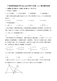 精品解析：广东省深圳市高级中学2022-2023学年八年级上学期期末数学试题