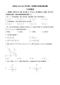 精品解析：广东省深圳市龙岗区2022-2023学年八年级上学期期末考试数学试题