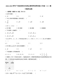 精品解析：广东省深圳市龙岗区联邦学校等两校2022-2023学年八年级上学期期中数学试卷