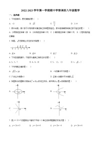 精品解析：广东省深圳市龙华区2022-2023学年八年级上学期期中数学试题