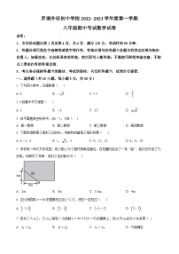 精品解析：广东省深圳市罗湖外语学校初中部2022一2023学年八年级上学期期中考试数学试卷