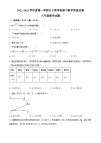 精品解析：广东省深圳市南山区太子湾学校2022-2023学年八年级上学期期中考试数学试题