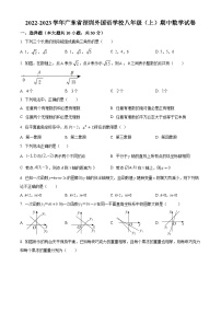 精品解析：广东省深圳外国语学校2022-2023学年八年级上学期期中数学试卷