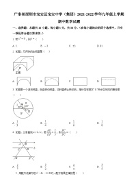 精品解析：广东省深圳市宝安区宝安中学（集团）2021-2022学年九年级上学期期中数学试题