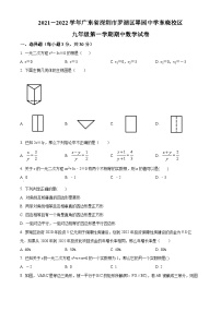 精品解析：广东省深圳市罗湖区翠园初级中学2021-2022学年九年级上学期期中数学试题