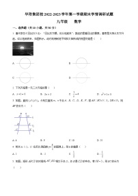 精品解析：广东省深圳华附集团校2022-2023学年九年级上学期期末学情调研数学试题