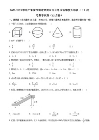 精品解析：广东省深圳市龙岗区百合外国语学校2022-2023学年九年级上学期段考数学试卷（12月份）