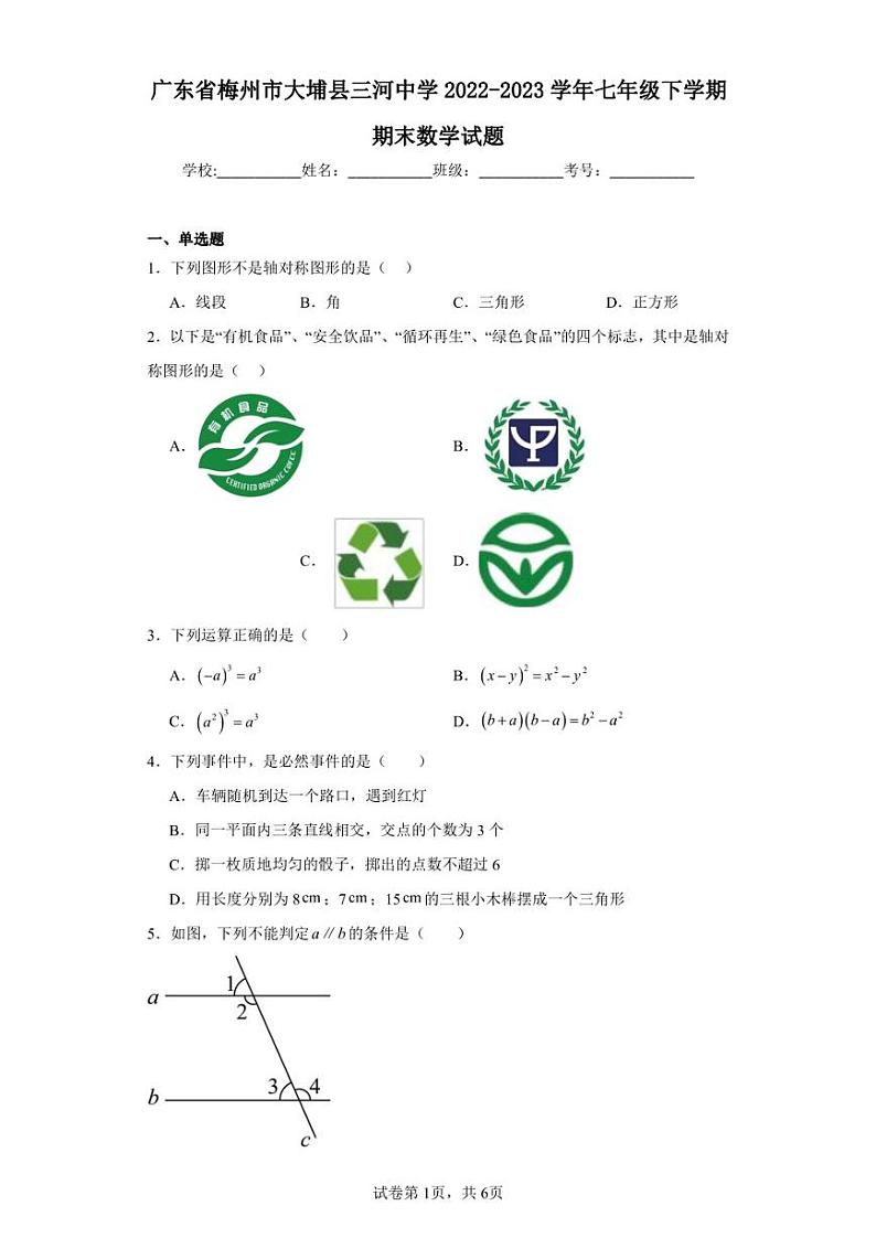 广东省梅州市大埔县三河中学2022-2023学年七年级下学期期末数学试题01