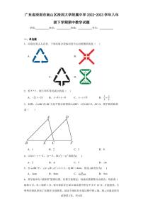 广东省深圳市南山区深圳大学附属中学2022-2023学年八年级下学期期中数学试题