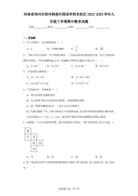 河南省郑州市郑州枫杨外国语学校东校区2022-2023学年九年级下学期期中数学试题