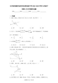 江苏省南通市如皋市如皋初级中学2022-2023学年七年级下学期3月月考数学试题