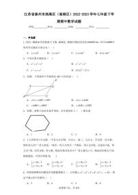 江苏省泰州市高港区(高港区)2022-2023学年七年级下学期期中数学试题