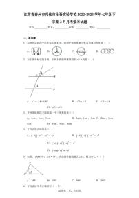 江苏省泰州市兴化市乐吾实验学校2022-2023学年七年级下学期3月月考数学试题