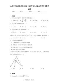 上海市中远实验学校2022-2023学年八年级上学期月考数学试题