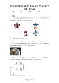 四川省达州市渠县东安雄才学校2022-2023学年九年级下学期期中数学试题