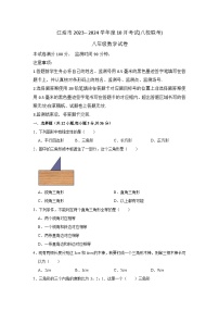 四川省绵阳市江油市八校联考2023-2024学年八年级上学期10月月考数学试题