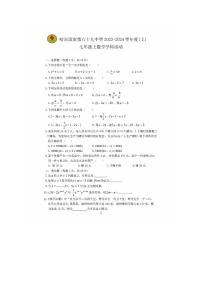 黑龙江省哈尔滨市第六十九中学校2023-2024学年七年级上学期十月份数学学科活动试题