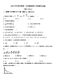 山东省枣庄市峄城区东方学校2023-2024学年八年级上学期10月数学月考卷