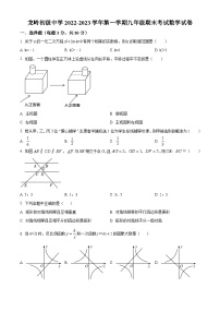 精品解析：广东省深圳市龙岗区龙岭初级中学2022-2023学年九年级上学期期末考试数学试卷