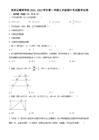 精品解析：广东省深圳市龙岗区南湾学校2022-2023学年九年级上学期期中考试数学试卷