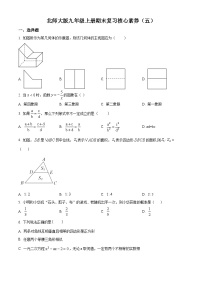 精品解析：广东省深圳市龙华区新园学校2022-2023学年九年级上学期数学核心素养（五）